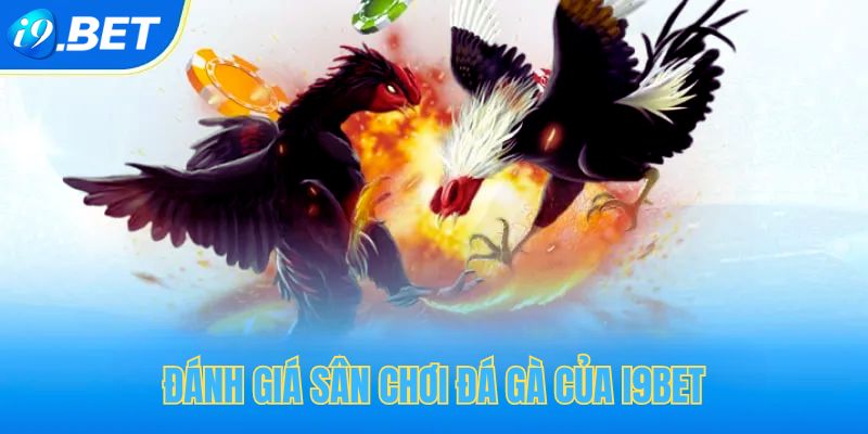 Ưu điểm của sảnh đá gà tại i9bet