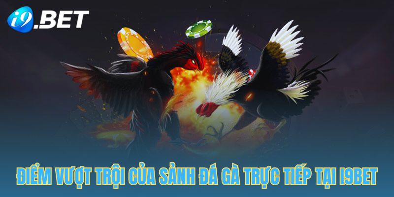 Một số ưu điểm của sảnh đá gà trực tiếp tại I9BET