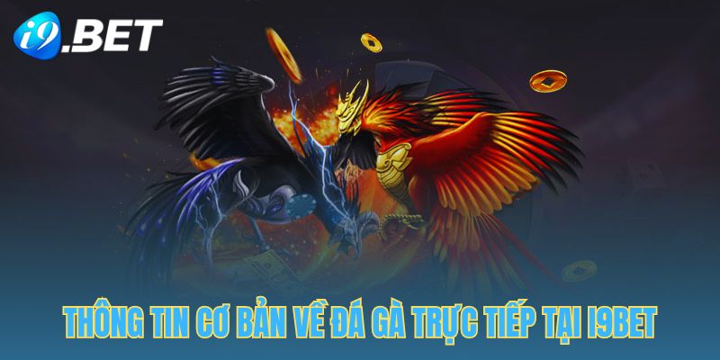 Đá gà trực tiếp I9BET đem lại những cảm xúc khó tả cho khán giả tại trận đấu